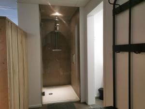 baño con ducha y puerta de cristal en La Librairie, en Francorchamps