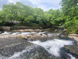 un fiume con rapide sulle rocce e sugli alberi di V13 - The Falls with Hot Tub a Bethesda Altre 5 foto