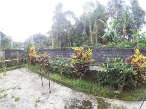 a garden with plants and a brick wall at Joglo Sempu Homestay in Bedoyo