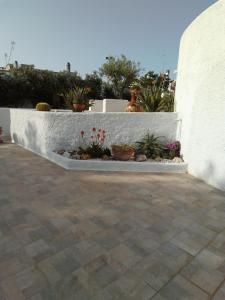 a retaining wall with potted plants on a patio at Villa Anna Maria in Polignano a Mare