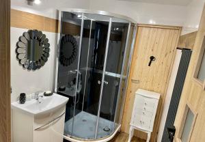 W łazience znajduje się szklana kabina prysznicowa i umywalka. w obiekcie Wrzosówka w Jeleniej Górze