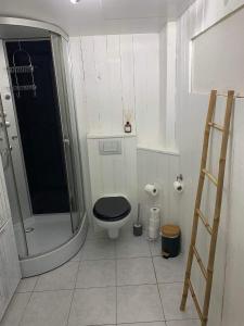 La petite salle de bains est pourvue d'une douche et de toilettes. dans l'établissement Rocroi: Gîte de Bourgogne, à Rocroi