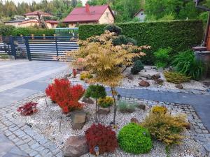 a garden with a pine tree and other plants at Apartament na górce in Uherce Mineralne (7)