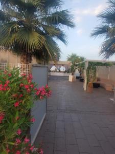 Vonkajšia záhrada v ubytovaní B&B Lido Apartament 10A