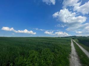 a dirt road in the middle of a green field at Domy na Roztoczu Aleja Lipowa - dom H in Zwierzyniec