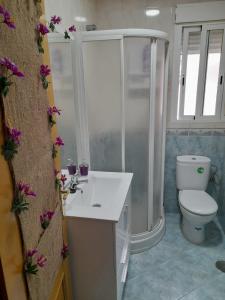 a bathroom with a toilet and a sink and a shower at Alojamiento Castelar in Sotillo de la Adrada