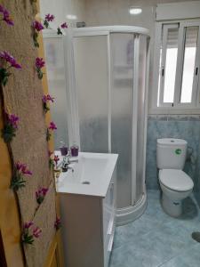 ein Bad mit einem WC, einem Waschbecken und einer Dusche in der Unterkunft Alojamiento Castelar in Sotillo de la Adrada