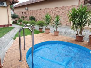 Πισίνα στο ή κοντά στο Kálvin utcai Apartmanok