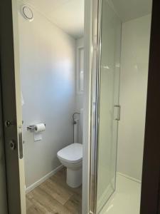 W łazience znajduje się toaleta i przeszklony prysznic. w obiekcie Mobile Home BARTOL de LUX w Biogradzie na Moru