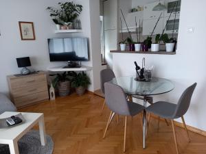 TV a/nebo společenská místnost v ubytování Apartments Anita