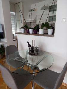 Fotografie z fotogalerie ubytování Apartments Anita v destinaci Crikvenica