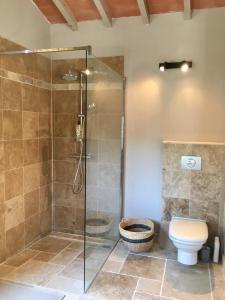 a bathroom with a shower and a toilet at LES BARTAVELLES in Aix-en-Provence