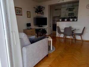 TV a/nebo společenská místnost v ubytování Apartments Anita