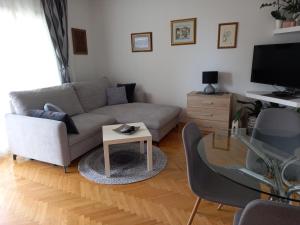 TV a/nebo společenská místnost v ubytování Apartments Anita