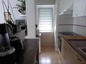 Kuchyň nebo kuchyňský kout v ubytování Apartments Anita