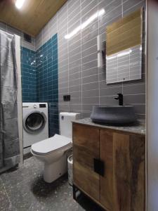 a bathroom with a toilet and a sink and a washing machine at Cosy Apartments in Vilnius Center in Vilnius