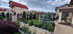 Zahrada ubytování Pensiunea Casa Simoni