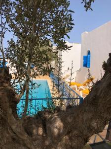 Gallery image of Villa « les 2 oliviers » in Djerba