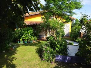 A garden outside La casita de las flores