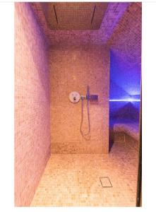 y baño con ducha en una pared de azulejos. en L'évasion-SPA-Hammam-Sauna Illimité - 2 à 4 pers en Saint-Cyr-sur-Loire