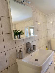 Koupelna v ubytování Apartment Meri