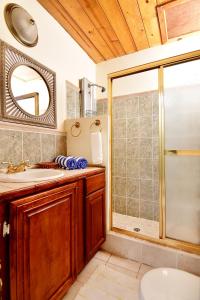a bathroom with a shower and a sink and a mirror at BeachFront Villa in Gros Islet