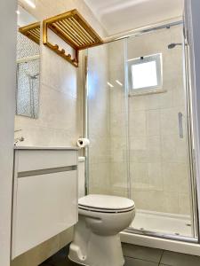 a bathroom with a toilet and a shower at Pirata Milfontes Guest House in Vila Nova de Milfontes