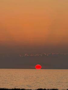 un frisbee rosso nell'oceano al tramonto di Nautilus Beach House a Paradisi