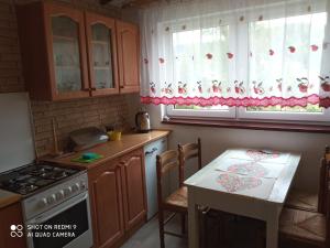Kuchnia lub aneks kuchenny w obiekcie Domek i Apartamenty Stokrotka