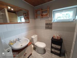 łazienka z toaletą, umywalką i oknem w obiekcie Domek i Apartamenty Stokrotka w mieście Krynica Zdrój +34 zdjęcia