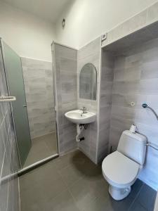 a bathroom with a toilet and a sink and a shower at Pension Májovka in Cheb