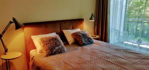 sypialnia z łóżkiem z poduszkami i oknem w obiekcie Aisa 39 w Parnawie