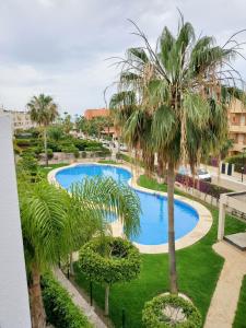 uma vista superior de uma piscina com palmeiras em ¡Apartamento en primera línea con terraza y cerca de la piscina comunitaria! em Vera