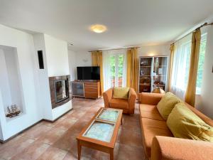 a living room with a couch and a fireplace at Dom Kapitana in Mikołajki
