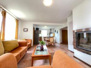 a living room with a couch and a fireplace at Dom Kapitana in Mikołajki