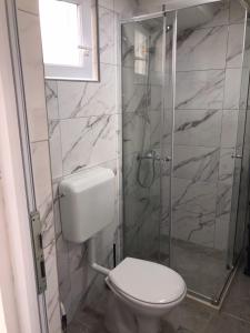 uma casa de banho com um WC e uma cabina de duche em vidro. em Apartman Milica em Trebinje