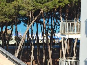 Blick auf den Strand von einem Gebäude mit Bäumen in der Unterkunft stefy bilo fronte mare in Alba Adriatica