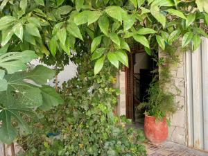 Zahrada ubytování Family home Tetouan