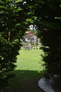 Casale al Foino外面的花园
