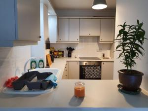 a kitchen with white cabinets and a table with a potted plant at Luxury Private Mews Modern Apartment in the City in London