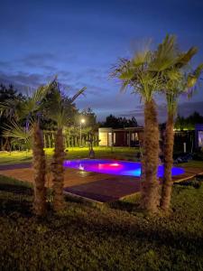 a group of palm trees in a park at night at Twoje Rydzewo in Rydzewo