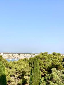 a group of trees with a river in the background at Dimora delle Tonnare in Favignana