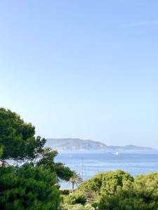 a view of a body of water with trees at Dimora delle Tonnare in Favignana