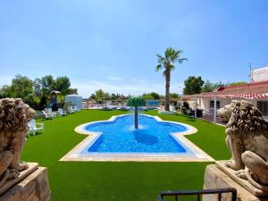 una piscina con una palmera en un patio en Camping Totana Park, en Totana