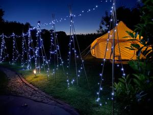 a tent with lights in a field at night at Secret Garden Glamping in Lymington