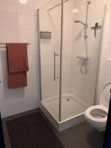 La salle de bains est pourvue d'une douche et de toilettes. dans l'établissement Parsingel, à Oostermeer