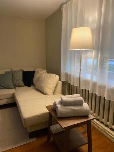a living room with a couch and a table with a lamp at Studio apartment Ogre in Ogre