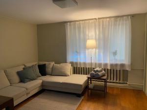 - un salon avec un canapé et une fenêtre dans l'établissement Studio apartment Ogre, à Ogre