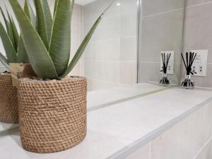 une plante assise sur un comptoir dans une salle de bains dans l'établissement Luxury City Apartment in JQuarter Birmingham, à Birmingham 22 autres photos