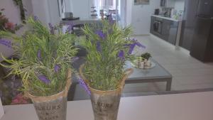 twee potplanten op een tafel bij Lavender Home in Volos